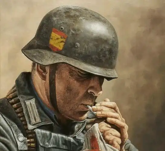 二战德意志的忠实奴仆罗保匈三小将谁的表现更好