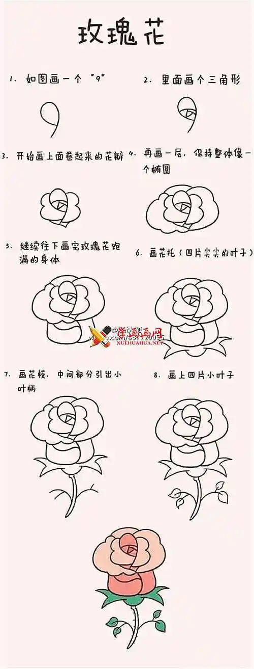 简笔画教程_玫瑰花的画法步骤