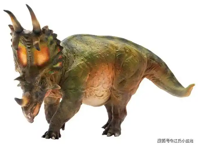 【恐龙王国】尖角龙的角竟然是独立生长的!_顶骨_头盾_未成年