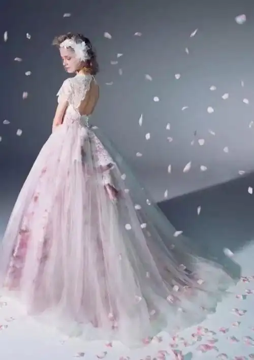 十二星座的水晶婚纱(十二星座的水晶婚纱简笔画)