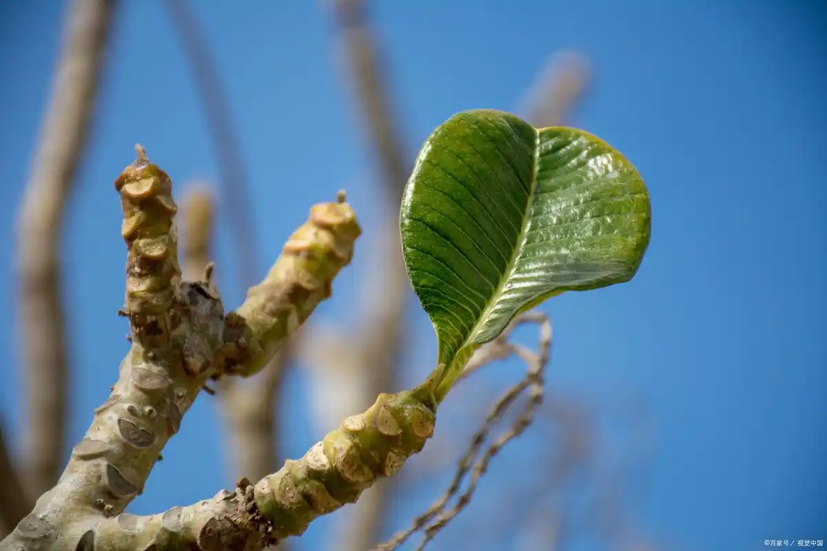 高考成绩不理想,怎么办?复读生如何高效提升学习成绩?