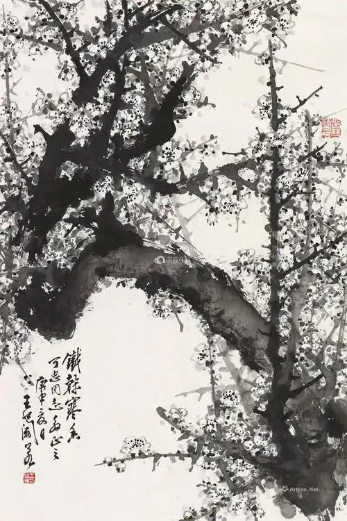 王兰若69铁干寒香