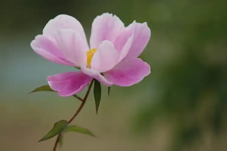 投诉文章 热门评论  0 观心自在 每一帧都可以直接拿来做电脑屏保了