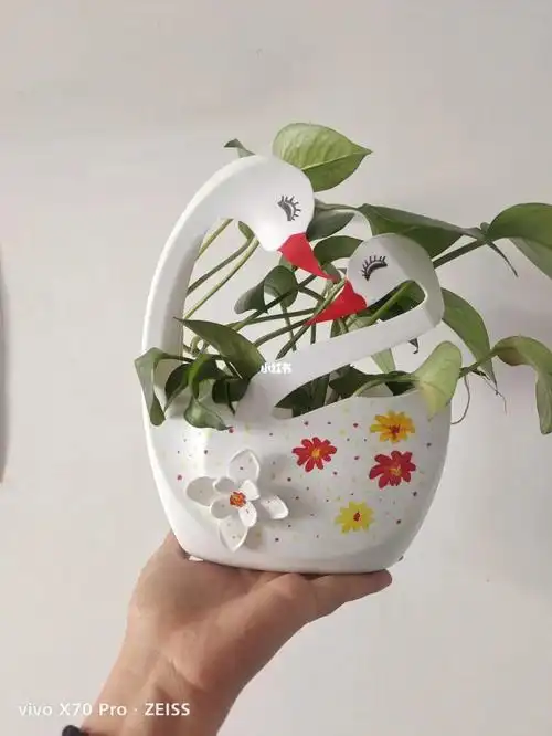 今天用洗衣液瓶制作的花瓶