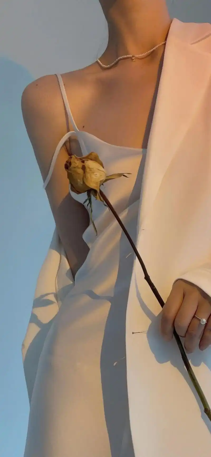 ins高级感壁纸图