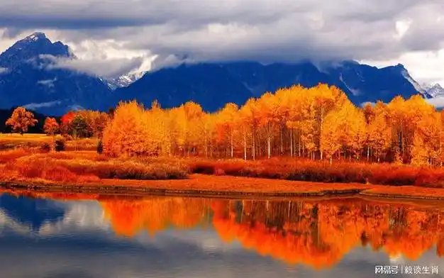 生肖牛属牛的人即使出生家庭一般,也能够凭借自己的努力,后来居上实现