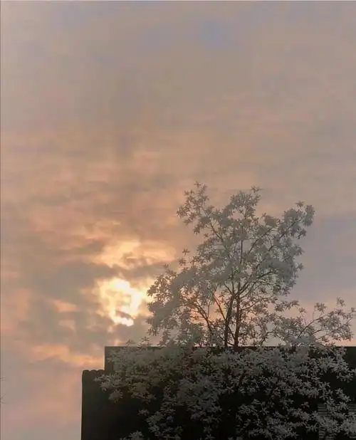 治愈系背景图,给烦躁的心放个假