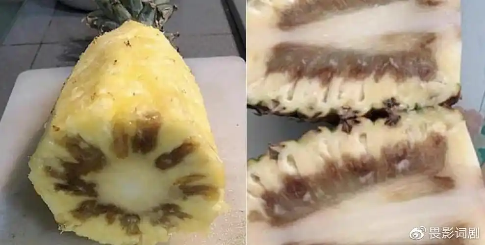 台湾黑心凤梨被新加坡全面下架蔡当局火速道歉称立即赔偿