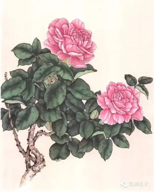 工笔月季着色技法示例二种