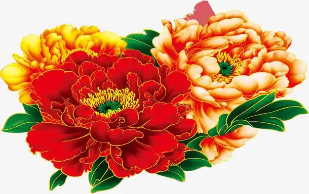 高贵手绘牡丹花白底图