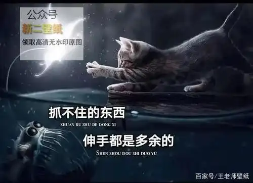 10,我会遇到很多有趣的人但我不会落下你