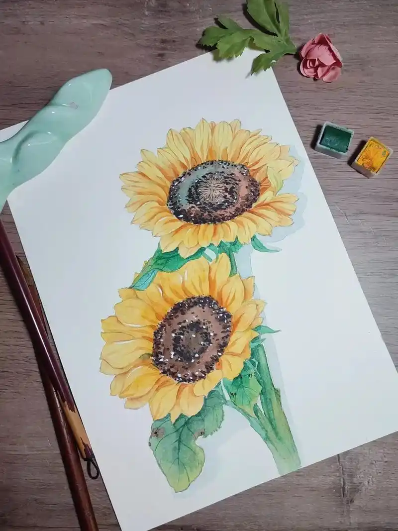 水彩向日葵‖内附详细步骤和线稿.纸:新艺欣220g 笔:秋宏 - 抖音