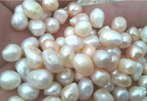 育珠蚌变成优质珍珠,养殖户需要注意哪些事项?