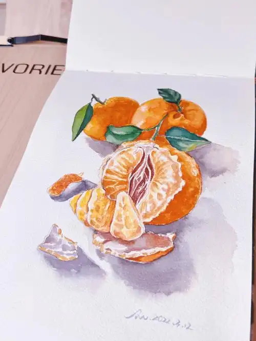 宝虹中粗300g临自@木娅#自学水彩  #大爱水果季  #水彩画