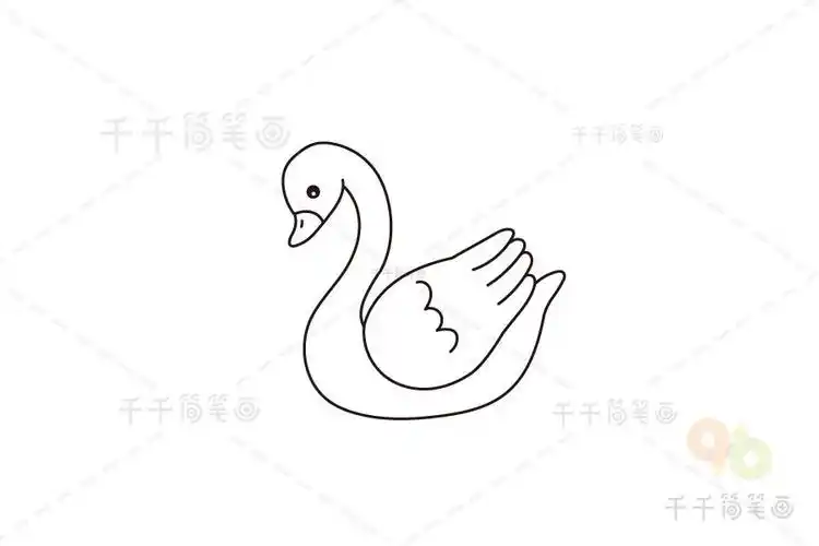 白天鹅简笔画画法图片步骤