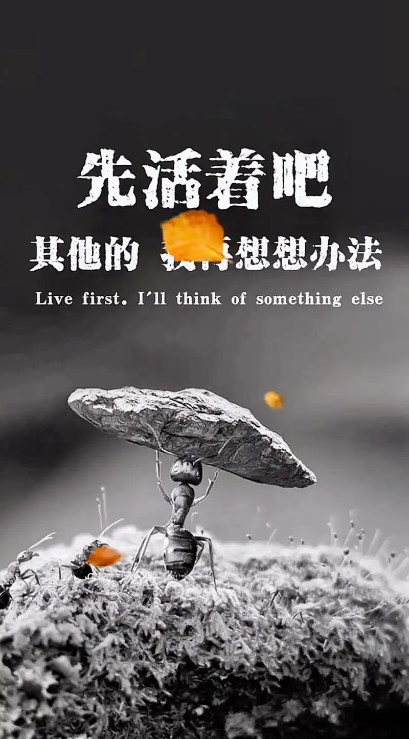 支持抖音传播正能量 #感悟人生感悟生活 #致生活 生活中其 - 抖音