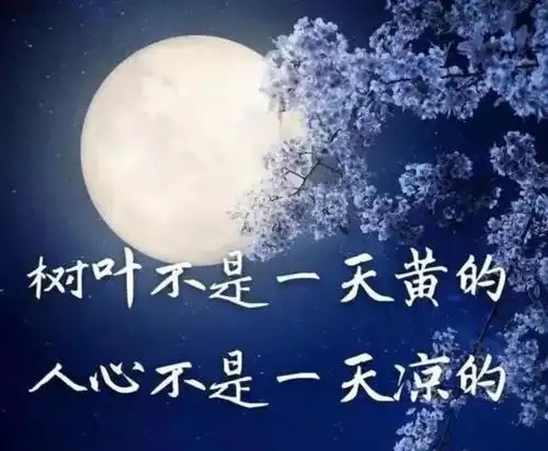 心情不好的说说(心情不好的图片带字说说)