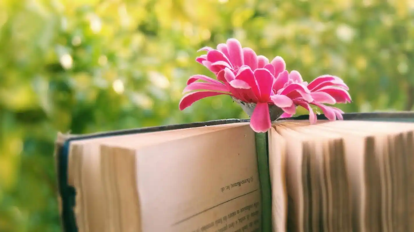 点击次数:318小清新花朵与书高清桌面壁纸上一张下一张         唯美