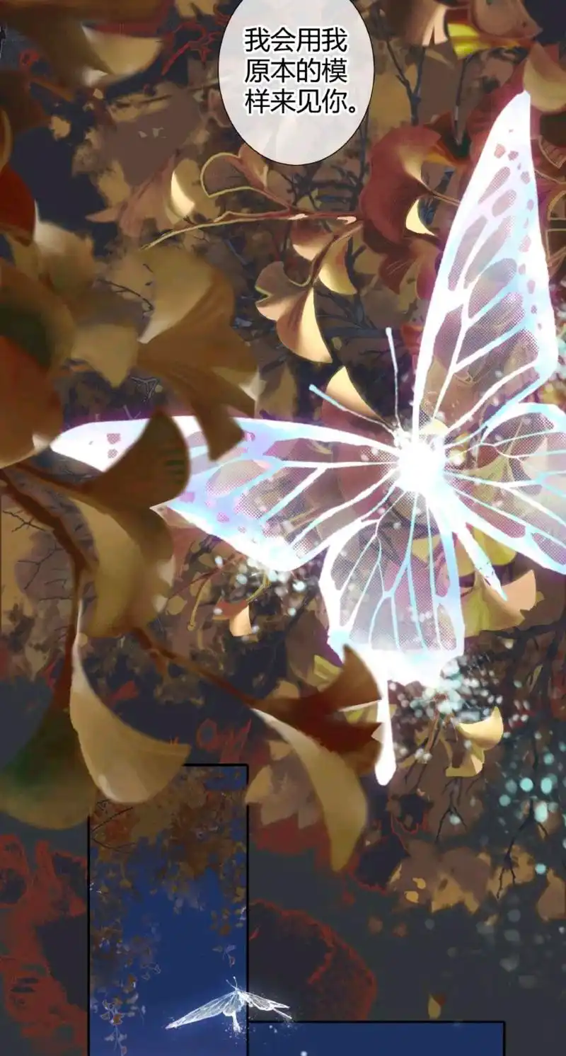 天官漫画,花城摊牌惊到哥哥,谢怜感觉受到欺骗,小银蝶飞走了