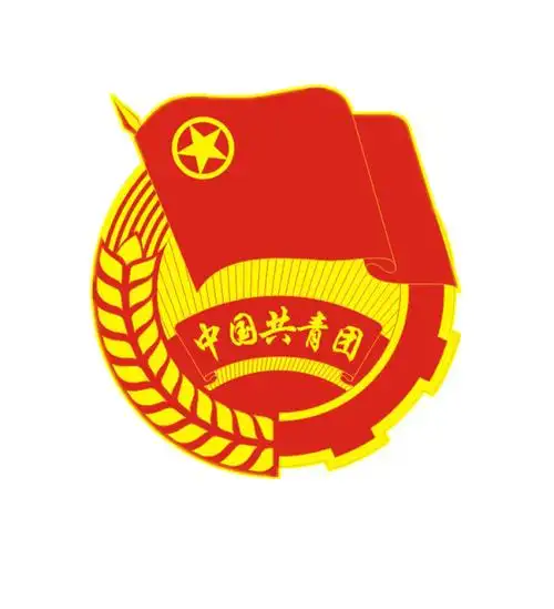 共青团清镇市委志愿服务队