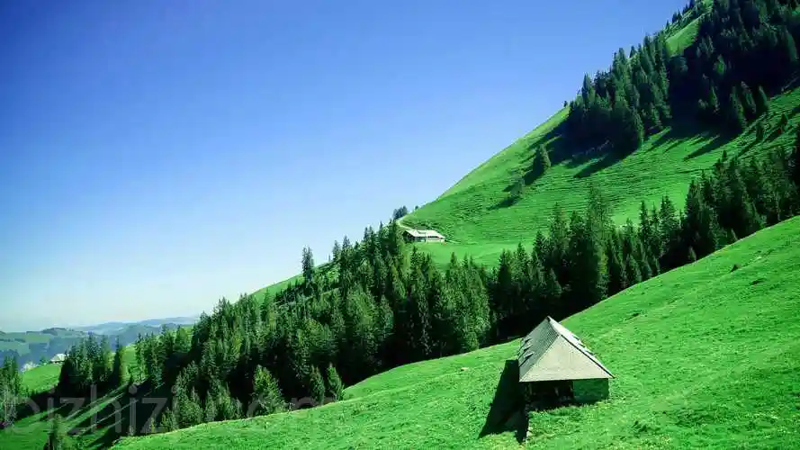 绿色草地树林风景4k壁纸