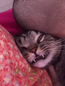 220_291gif 动态图 动图