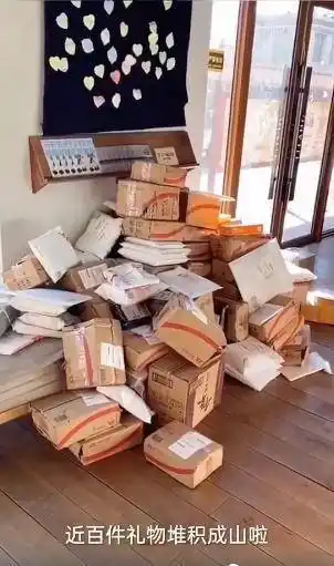 快递箱堆成一座小山丁真收到的书里有没有你送的
