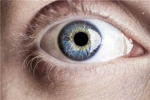 眼球特写_眼球特写图片