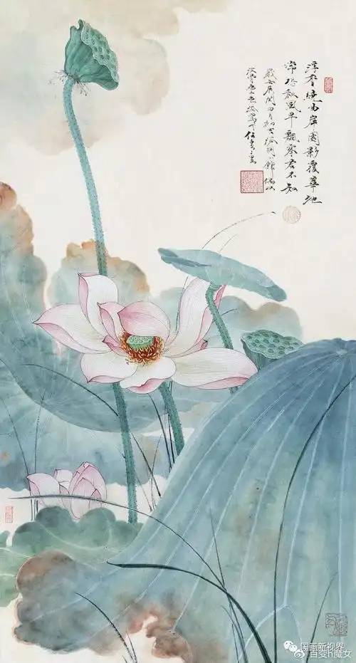 欣赏| 任重的一组工笔荷花15图