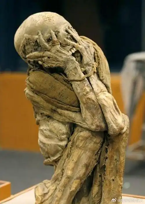 火山爆发后,尖叫木乃伊被发现,生前似遭受巨大惊吓