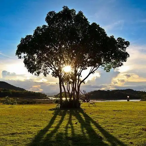 摇摇瓶奶昔贴牌oem代加工哪家好?可以订制口味,配方的有吗?