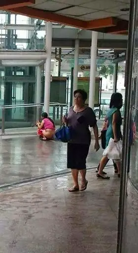 新加坡当街大便女子身份确认新加坡人非中国人