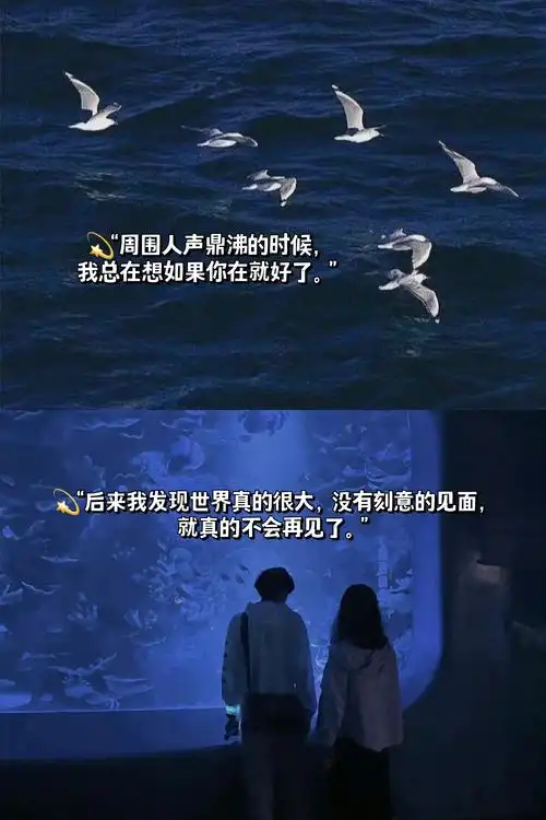 文案关于错过和遗憾你会怎样描写遗憾