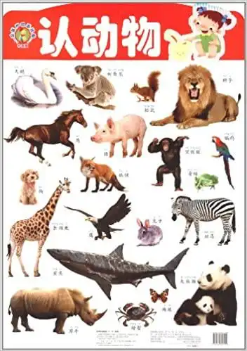 《金葫芦双面挂图:认动物(升级版)》 【摘要 书评 试读】图书