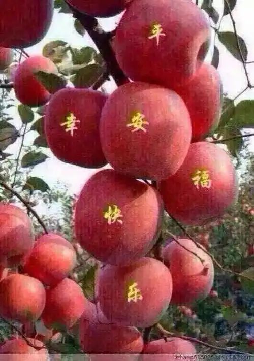 祝福你在2017年度中:平安快乐,阖家幸福,健康美满,心想事成