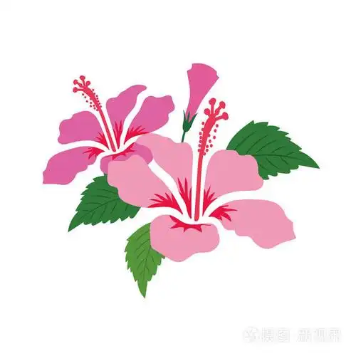 自然花粉红色芙蓉, 矢量植物园花卉植物园