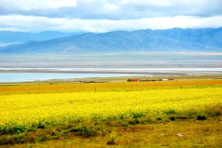 大美青海 神奇宁夏