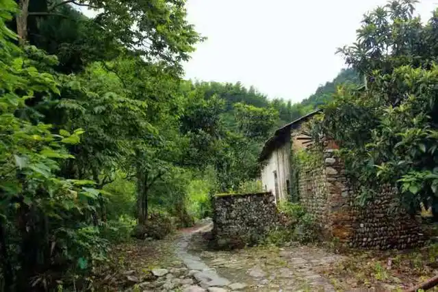 藏在深山老林里的赣东北民居石头部落