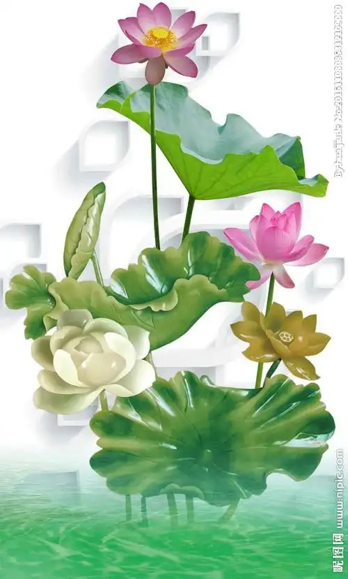 3d玄关荷花图片