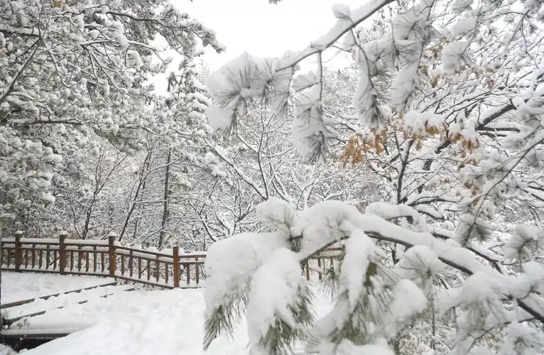 龙山最美的雪景