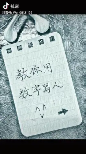 用数字怎么骂人(数字骂人暗语越毒越好)