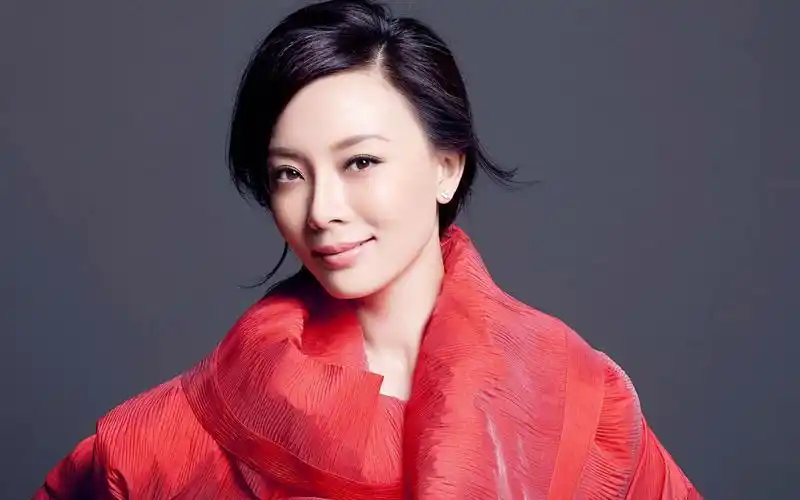 气质美女陈数桌面壁纸