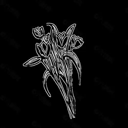 手绘黑白花朵爱情矢量素材