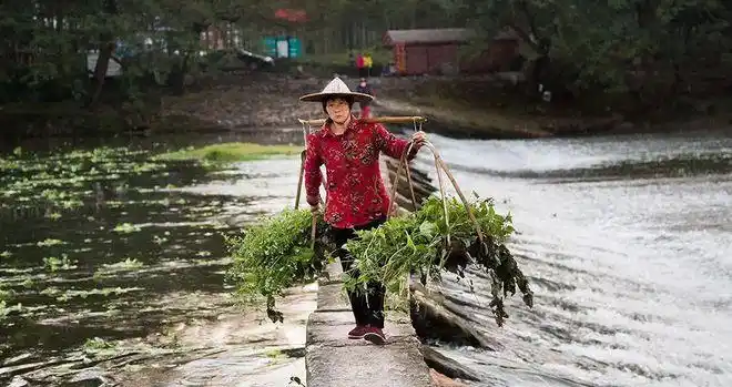 人双脚交替向前,肩部高低变化可以激励扁担作为悬臂梁牵引荷物上下