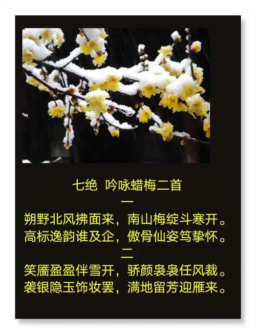 欣赏冷广云女士诗配画作品-6