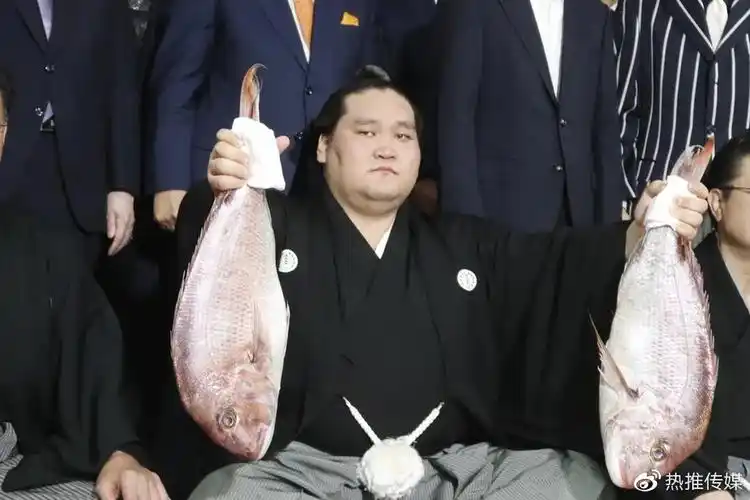 日本相扑横纲照之富士4年间反弹再出发