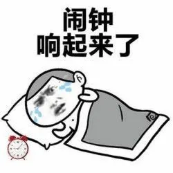 河友们,你们知道每天被楼上的闹钟吵醒是什么样的感受吗?