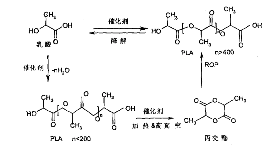 聚乳酸合成