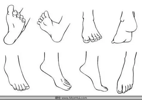 手绘腿 手绘脚 美脚 双脚 双腿 人物简笔画 女人腿脚线描简笔画 女人