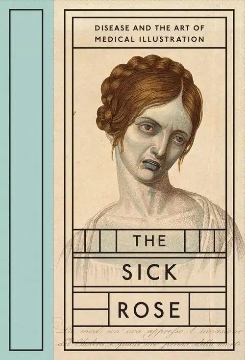 《sick rose or;disease and the art of medical illustration》几个